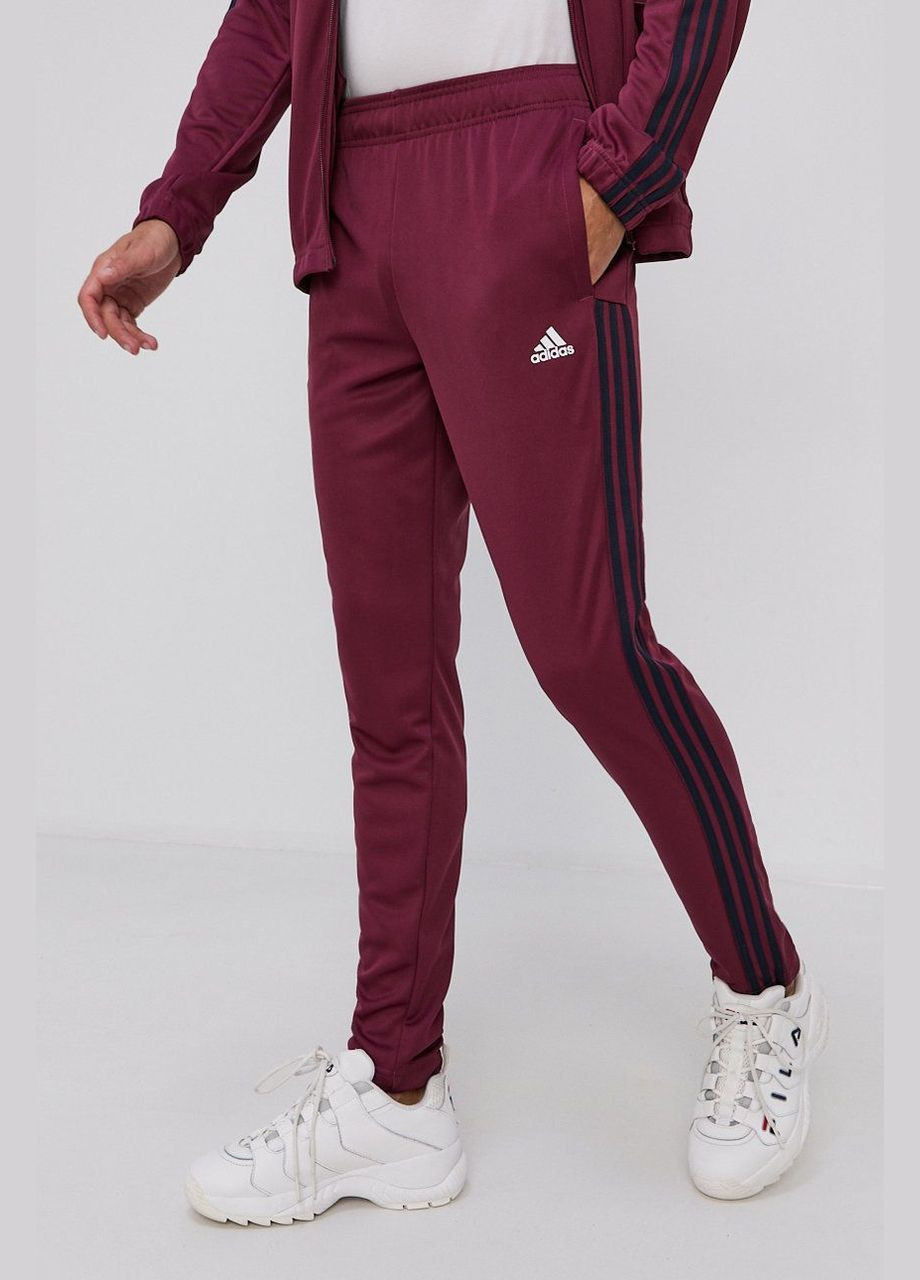 Спортивні штани adidas sportswear tapered (282676560)