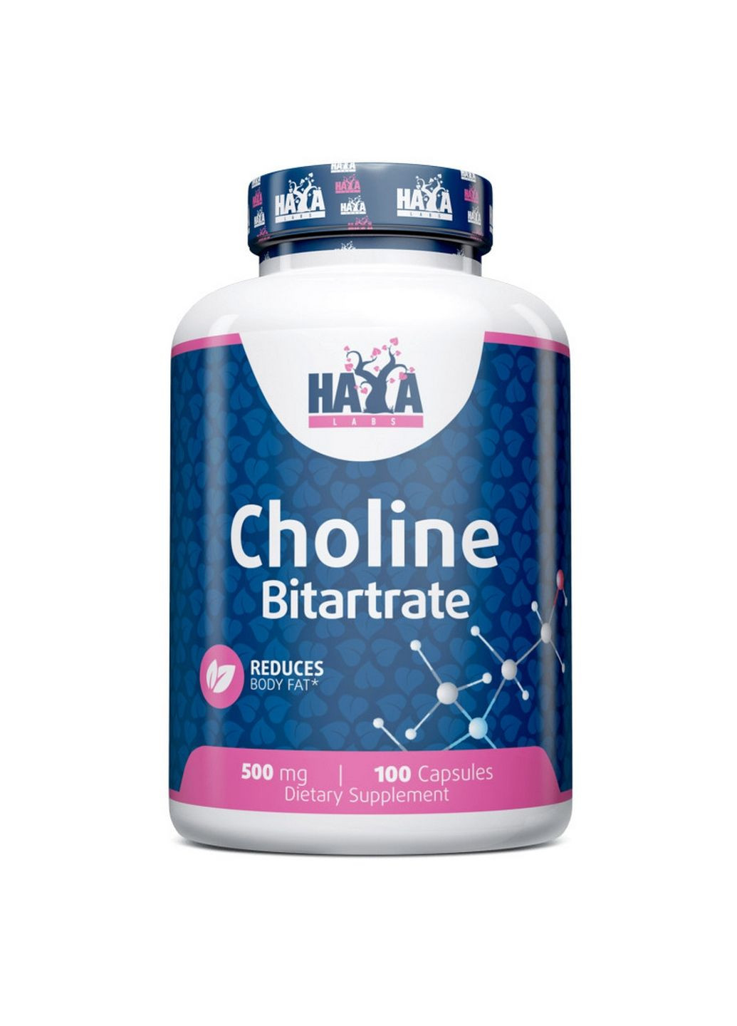 Витамины и минералы Choline Bitartrate 500 mg, 100 капсул Haya Labs (293421382)