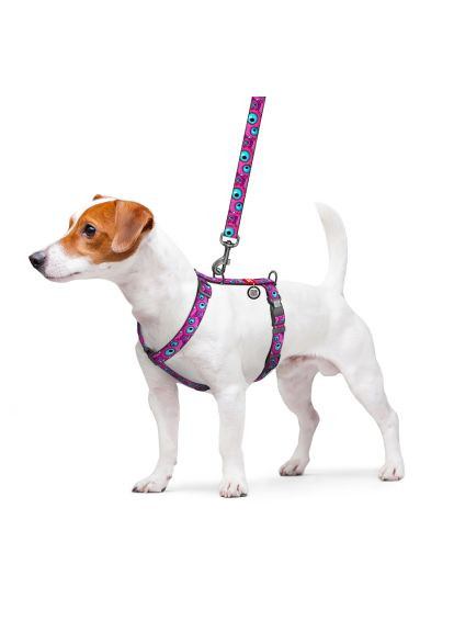 Шлей для собак Nylon анатомический H-образный с QR-паспортом "Глаз монстра" пластиковый фастекс, L (345-4049) WAUDOG Nylon анатомічна H-подібна з QR-паспортом "Око мон (366735785)