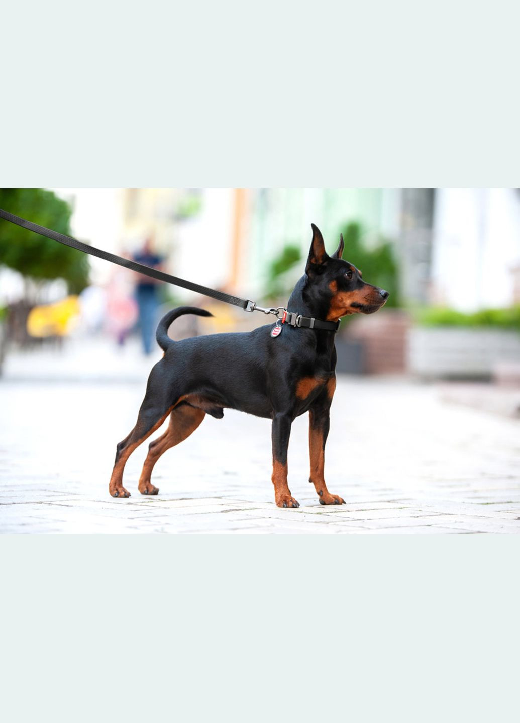 Ошейник для собак водостойкий Waterproof c QR-паспортом, металлическая пряжка-фастекс, Ш 25 мм, Дл 34-49 см черный WAUDOG (322328517)