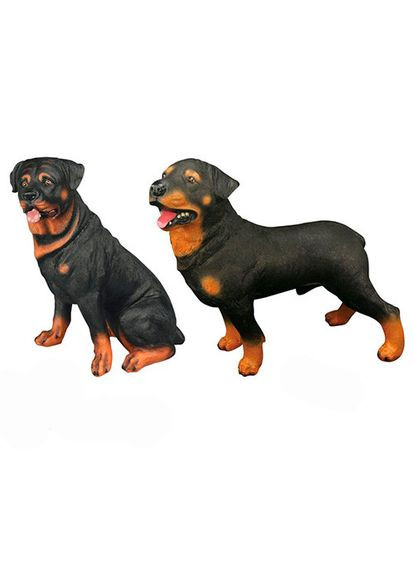 Тваринна собака, ротвейлер Q9899-542 Metr+ (301990128)