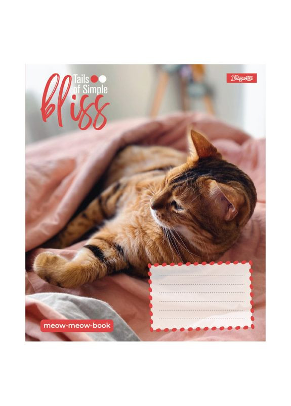 Тетрадь 12_л. линия " " / Bliss 1 Вересня (344585684)