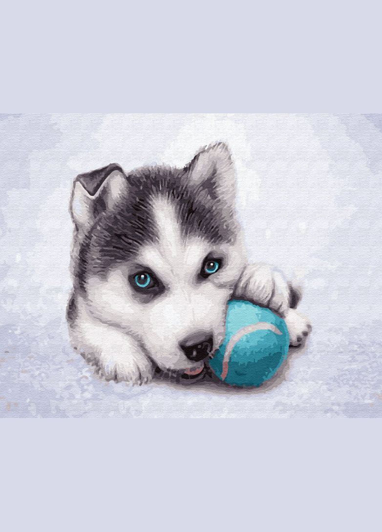 Картина за номерами Тварини Щеня хаскі з мячиком Розмальовка за номерами на полотні Грайливий хаскі 40х50 GX33760 Rainbow Art (308987680)