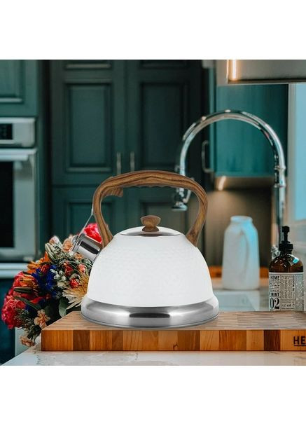 Чайник белый 2.7л из нержавеющей стали со свистком (KM-1098) Kamille (351584815)