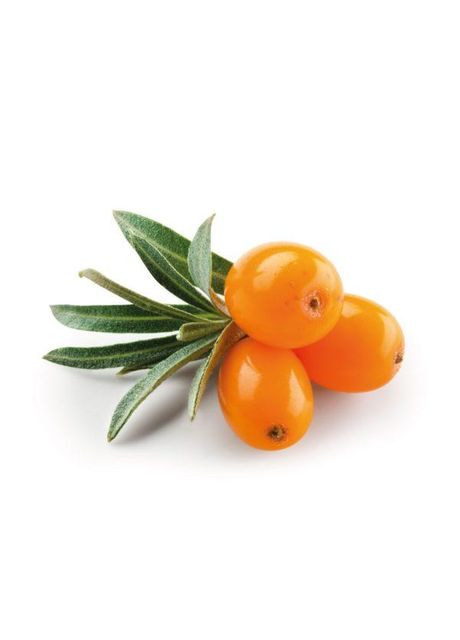 Обліпихова паста LiQberry (Лікберрі), 550 г No Brand (323168700)