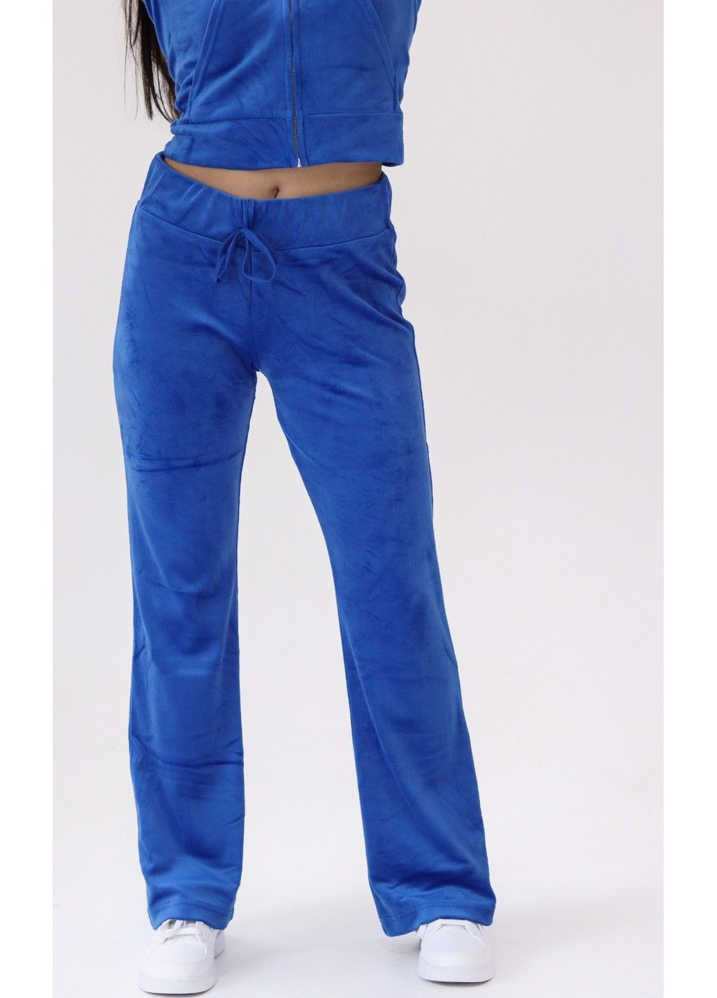 Жіночі велюрові спортивні штани (56857) S Сині H&M (289361071)