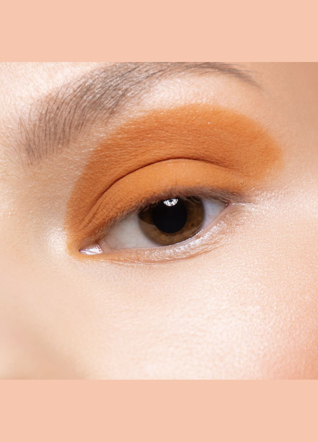 Тени Basic 110 - Мягкая куркума, 2г PROVG (302227852)