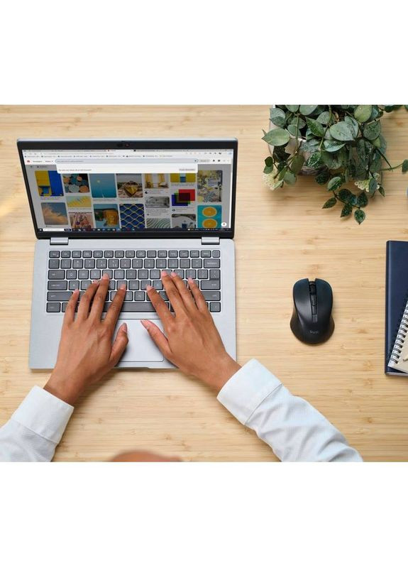 Мышь MYDO SILENT Black (25084) Trust (307994240)