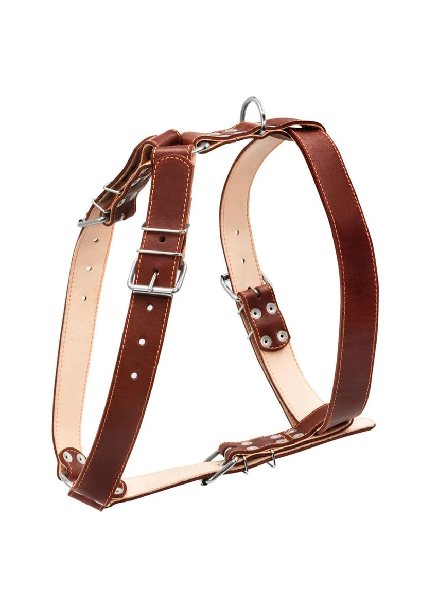 Шлея двойная для крупных собак 35мм А:7094см В:87-102см Collar (279565166)