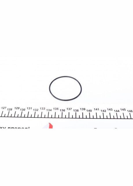 Уплотняющее кольцо REINZ 40-76741-00 Victor Reinz (339628722)