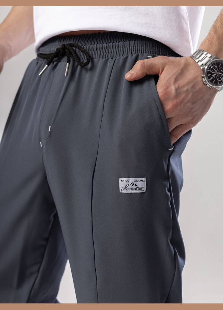 Темно-серые повседневный демисезонные джоггеры брюки Pobedov