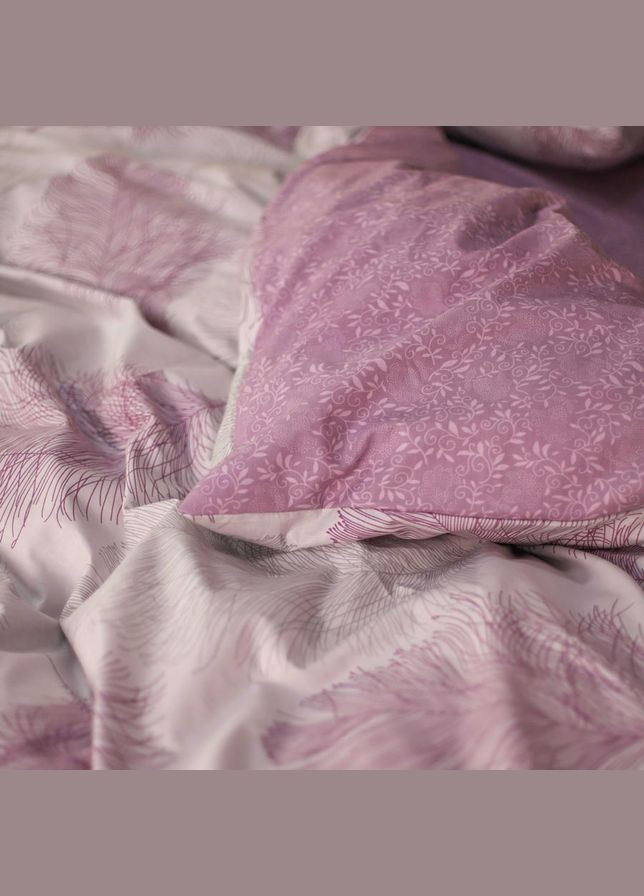 КПБ семейный ранфорс 22158 Viluta 21158-sm (300101906)