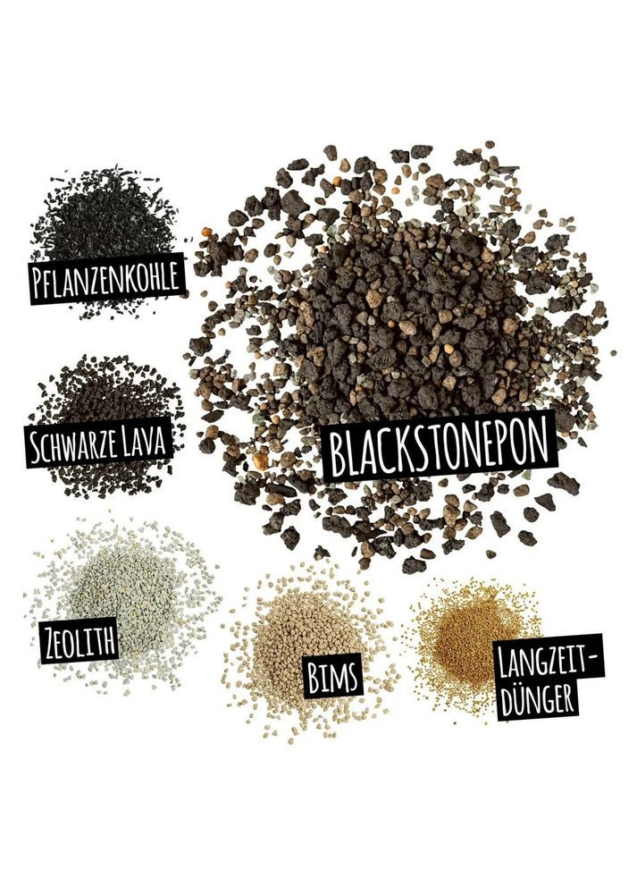 Субстрат з біовугіллям BLACKSTONE PON 6 л 19555 Lechuza (351346663)