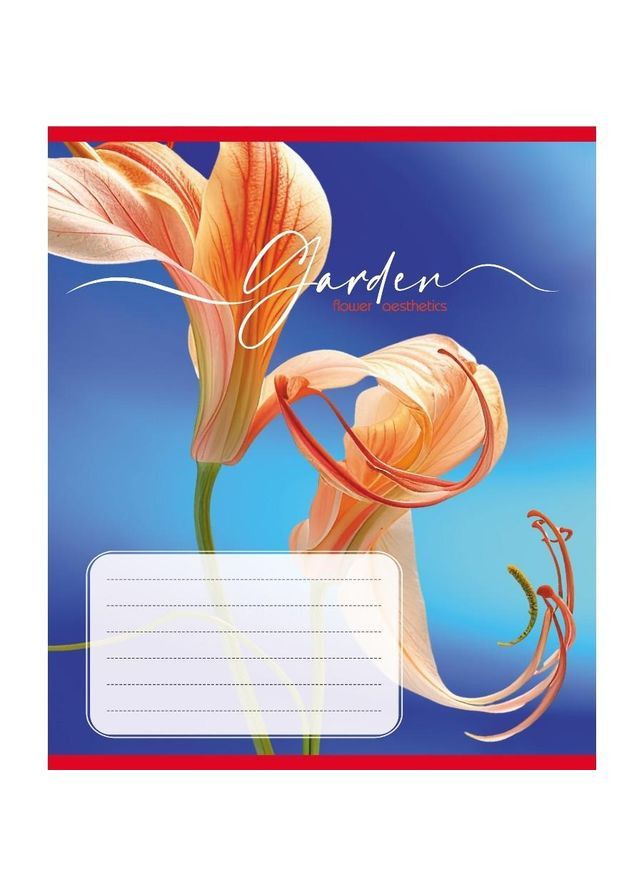 Зошит учнівський "Естетика" 024-550443K-1 в клітинку, 24 аркуші No Brand (362569071)