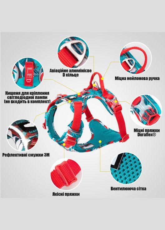 Шлея для собак Tropical, регулируемая светоотражающая нейлоновая шлея, Голубой S (43-56см) Truelove (299915400)