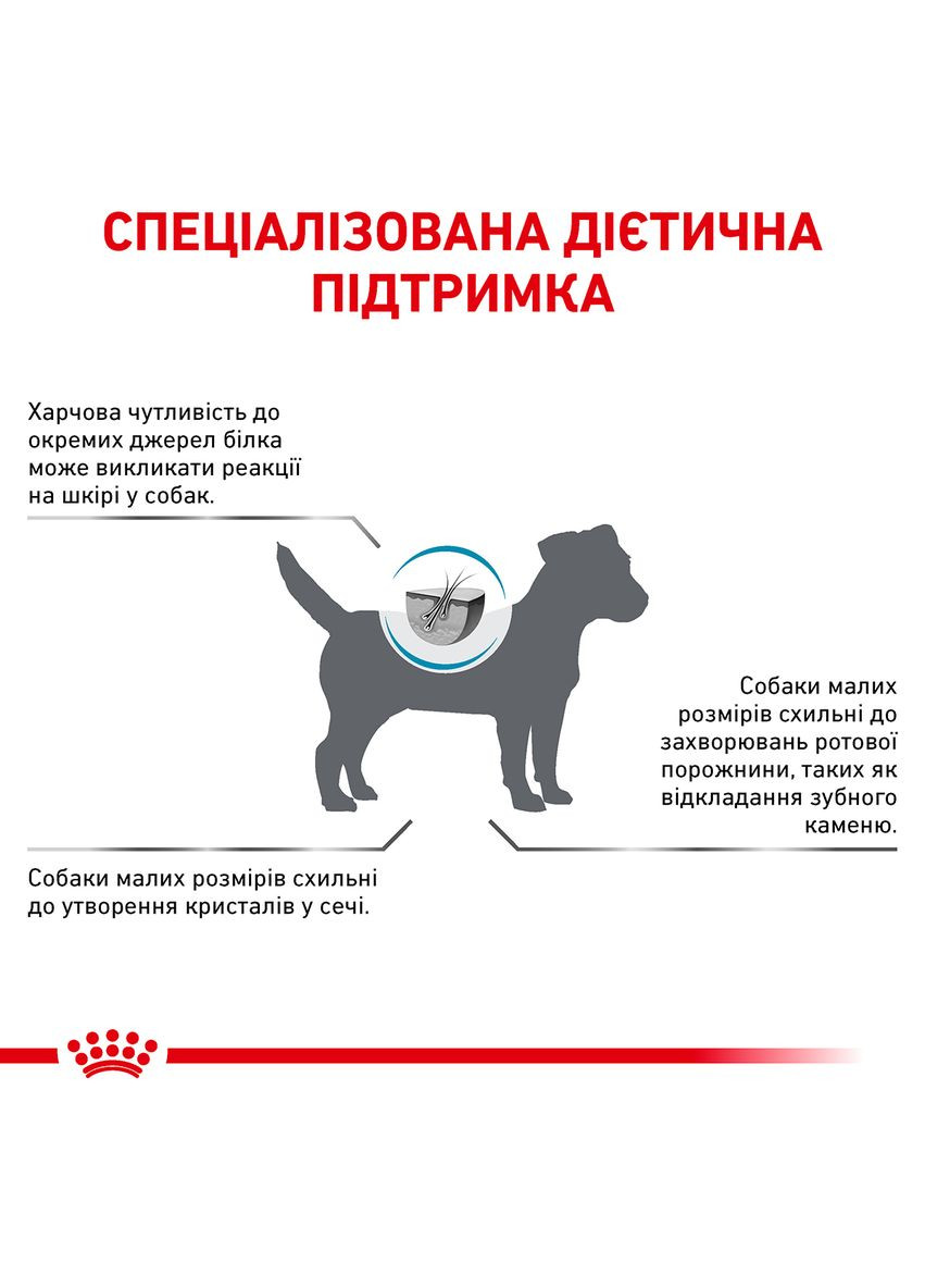 Сухий корм для собак Hypoallergenic Small Dog для дорослих собак дрібних розмірів у разі харчового Royal Canin (279563264)