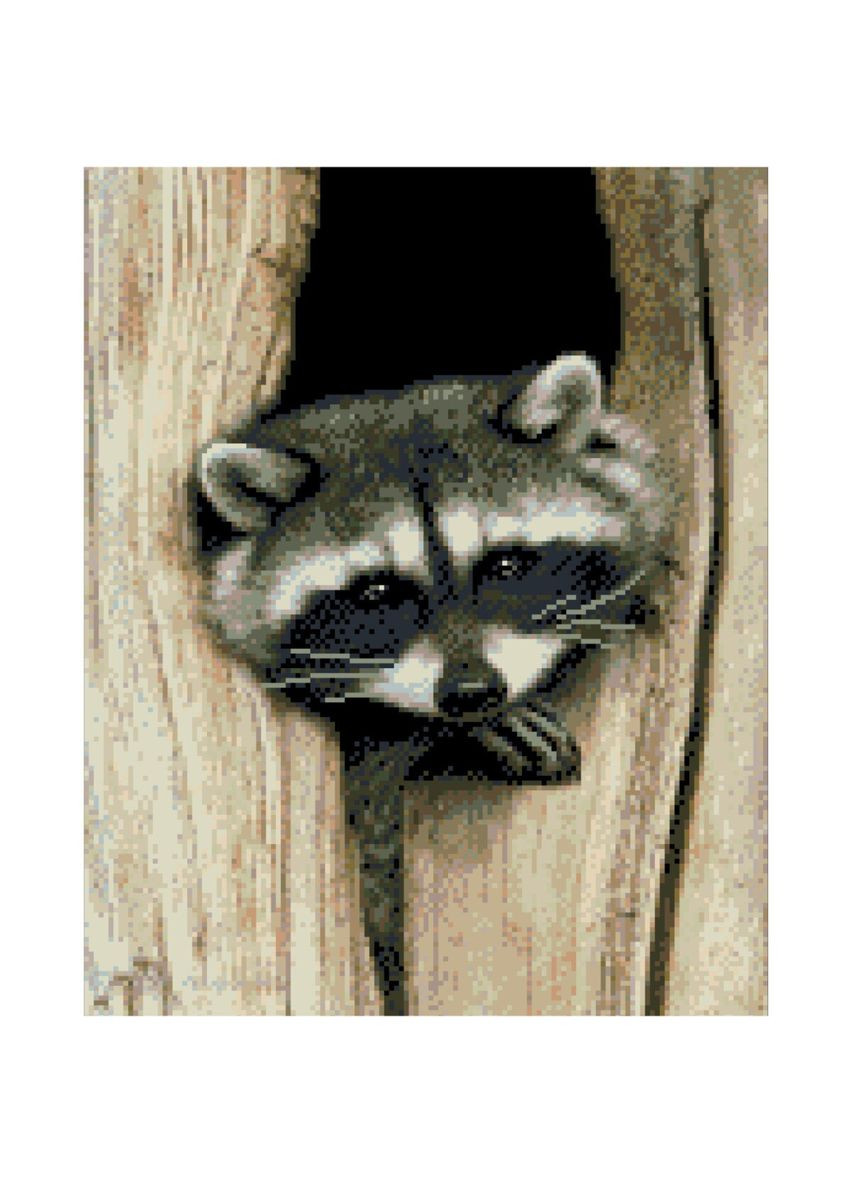 Набор для творчества алмазная картина Енот Strateg (333931238)