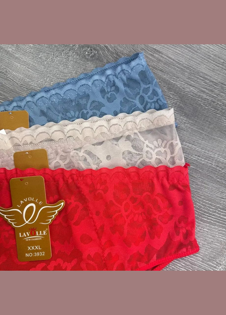 Комплект жіночих трусиків сліп 5 шт Lavolle Сліп (325419132)