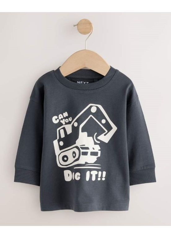 Графитовый демисезонный лонгслив Next Trend