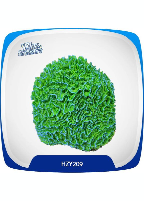 Искусственный коралл HZY 209 Blue Treasure (336329080)