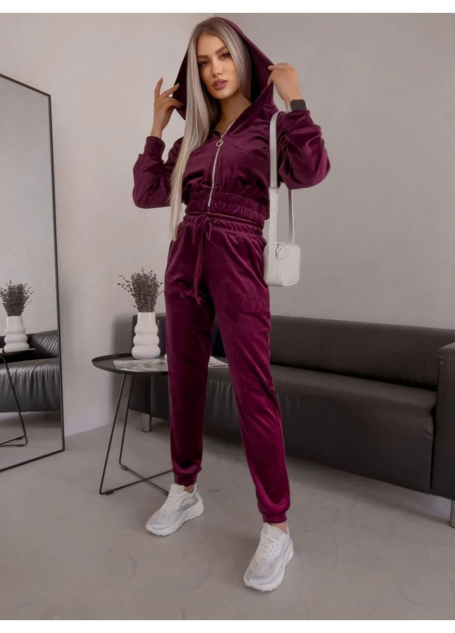 Жіночий велюровий костюм Fashion (382029101)