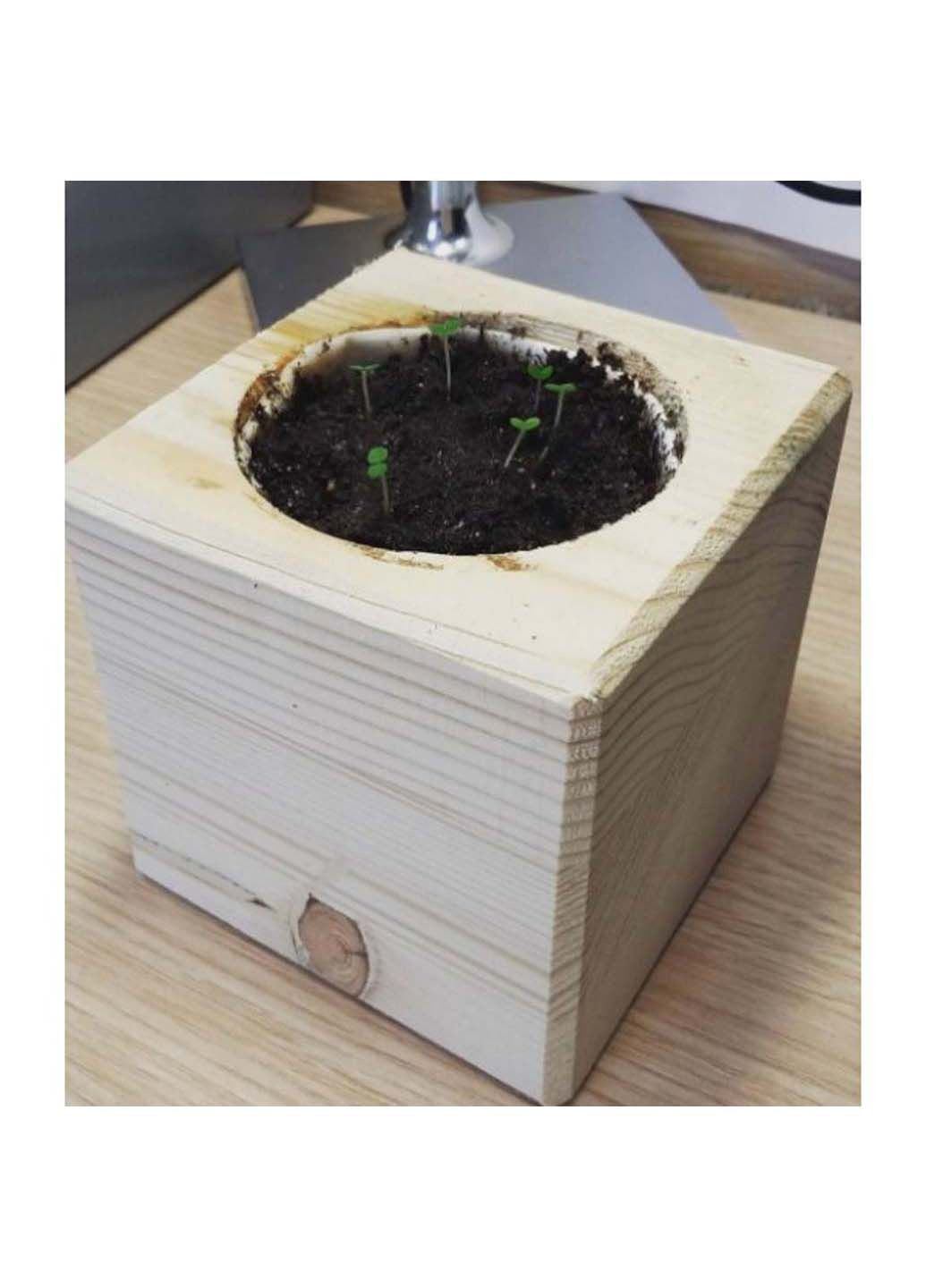 мелисса набор для выращивания растений Экокуб (295658341)