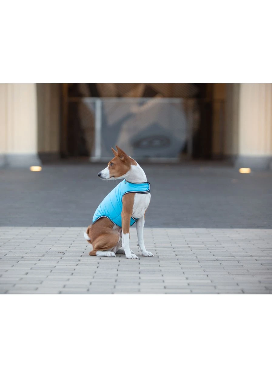 Курточка-накидка для собак, B 41-51 см, С 25-35 см голубой Airy Vest (402034591)