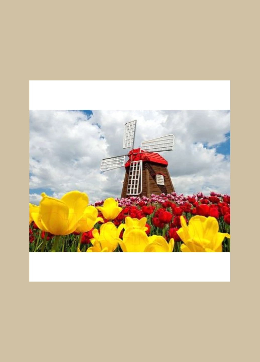 Діамантова мозаїка Млин 30x40 TK Group (322921151)