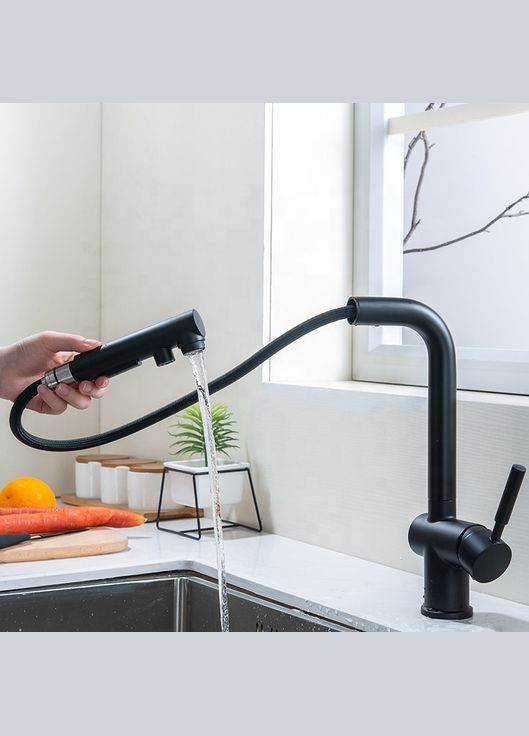 Смеситель для кухни с выдвижным изливом FBL-34 Nett (336939089)