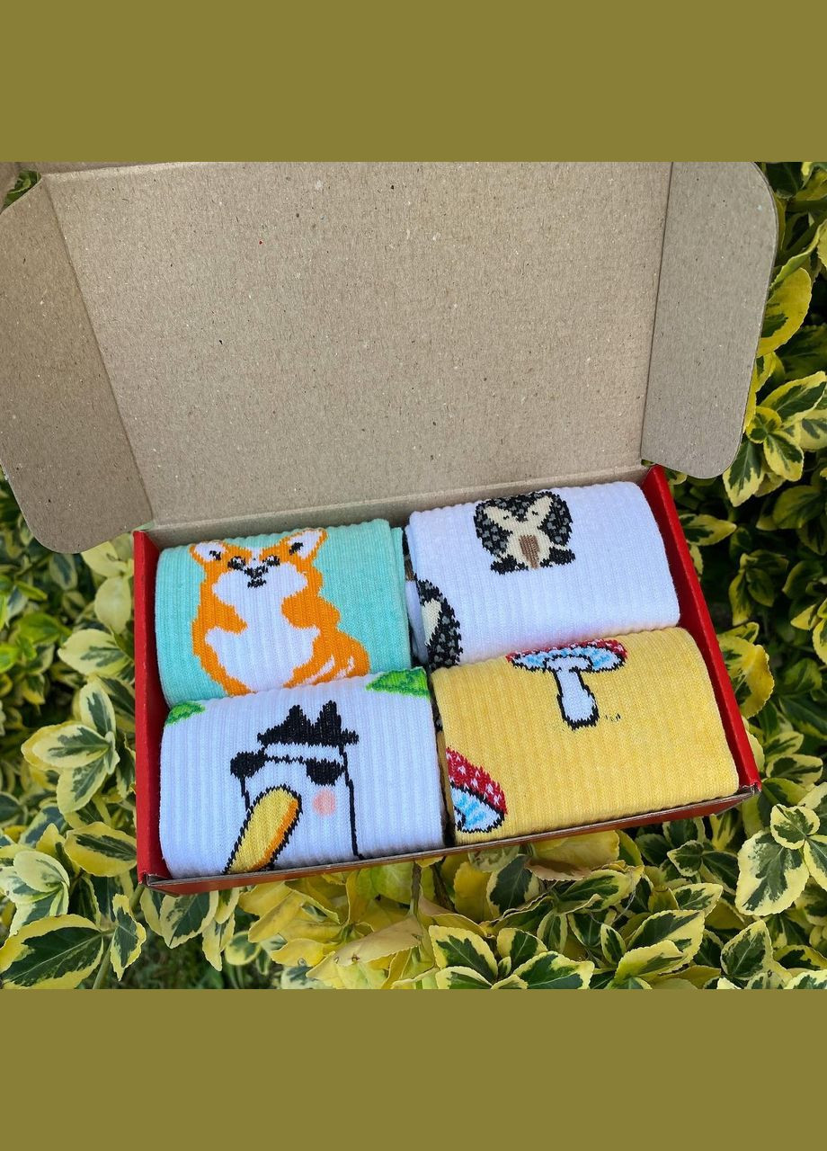 Комбіновані бокс жіночих високих шкарпеток 36-41 на 4 пари весна-осінь Vakko (308336835)