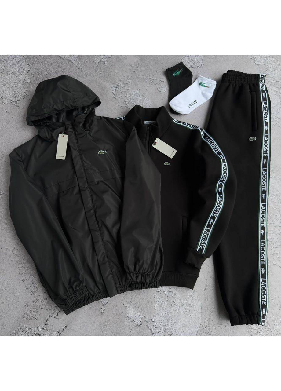 Зима Набір Lacoste: вітрівка-кофта-штани 2 пари шкарпеток у подарунок! No Brand (367580813)