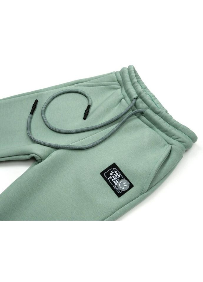 Штани дитячі флісові (CL0154024-128G-green) Cloise (300857413)