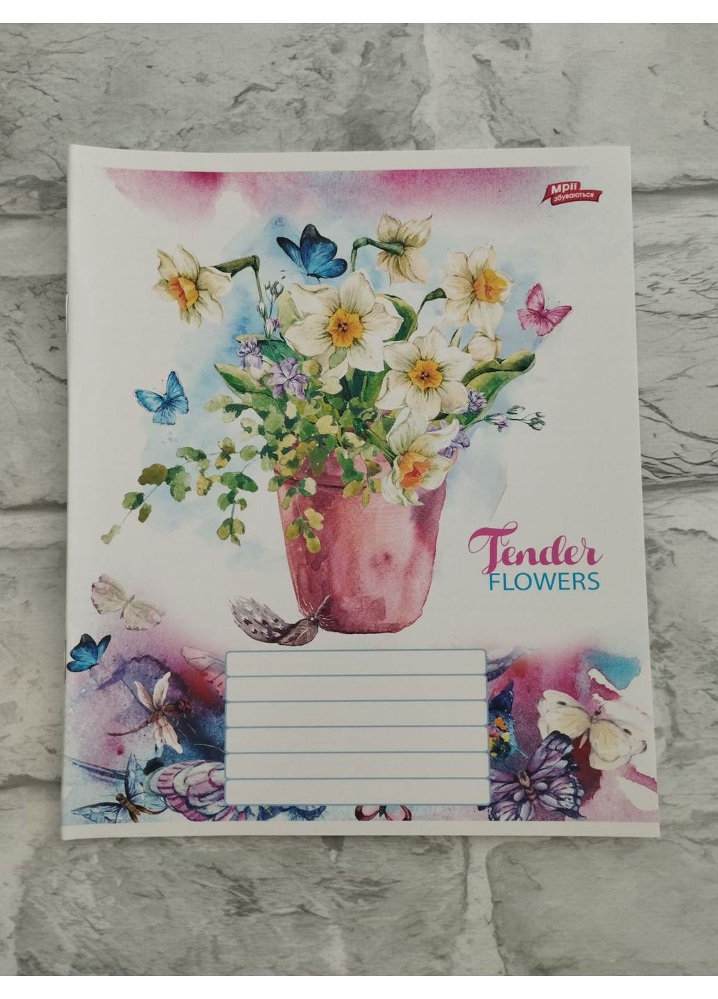 Зошит в косу лінію на 12 аркушів No Brand (352230918)