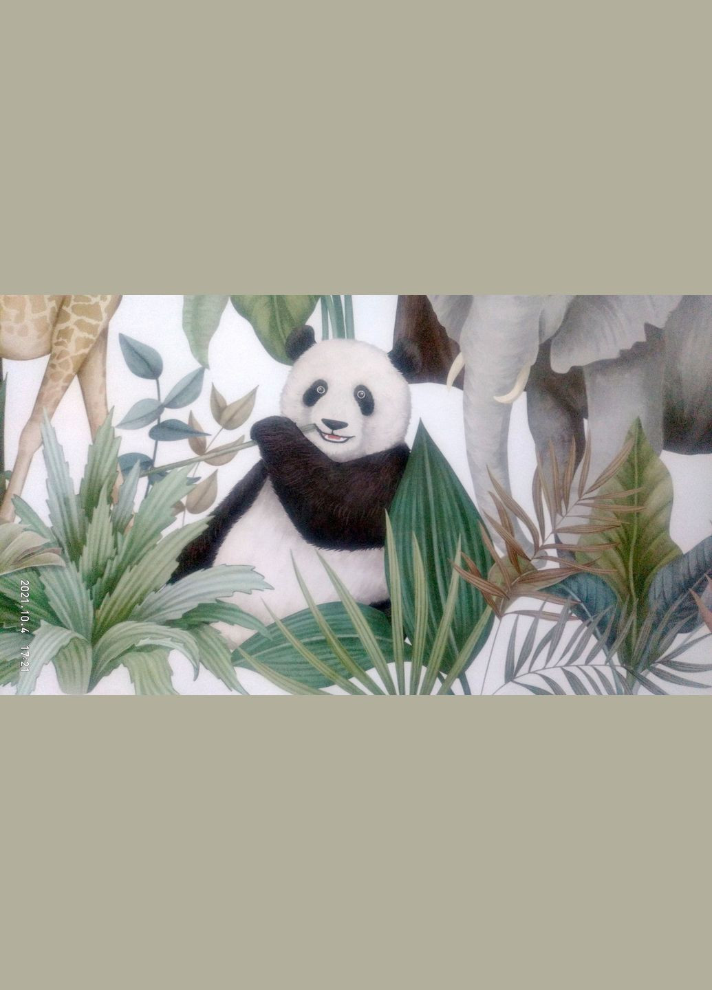 Вінілові наклейки на стіну Звіри та птахи в лісі (лист 60 х 100 см) Б475-1 No Brand (302241928)