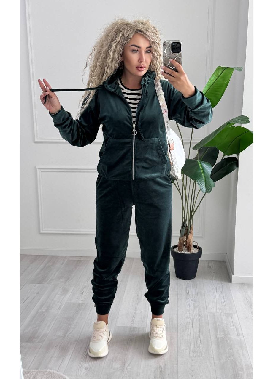 Спортивный костюм из велюра с капюшоном и змейкой. GD/GL Модний простір (360978718)