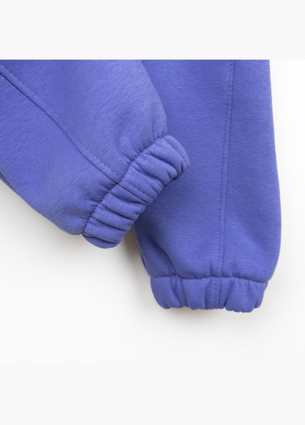 Теплый костюм на флисе свитшот Dexter`s штаны dexters dexter's (367020178)