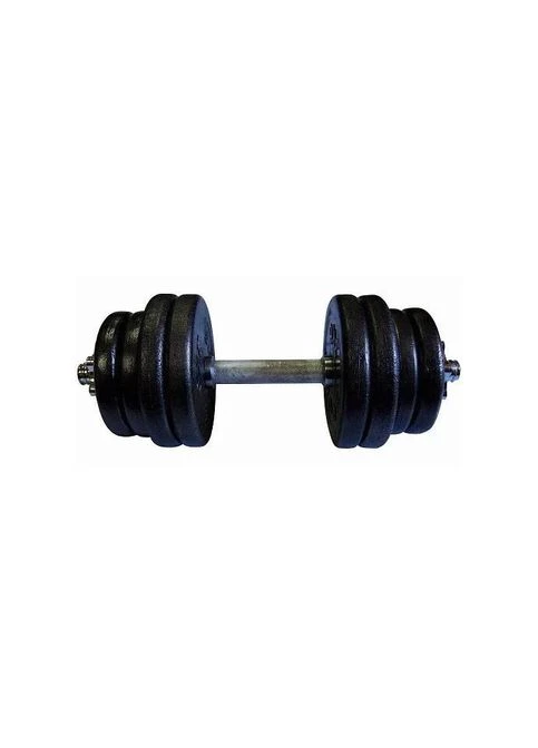 Гантель разборная 21,5 кг TI-968-745-21-1 No Brand (373379066)