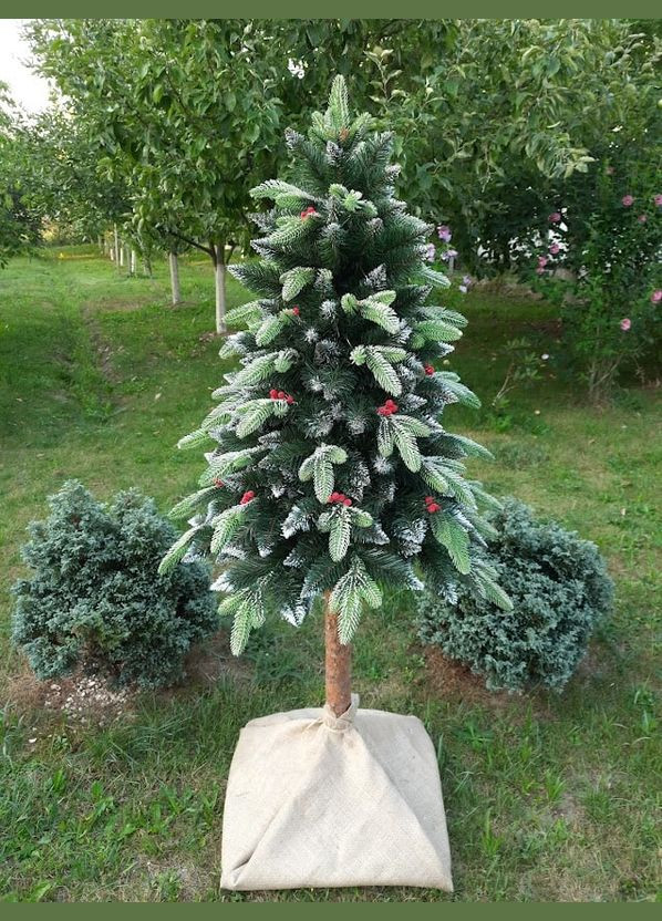 Ялинка на пні Корал 1,80 м No Brand (314874383)