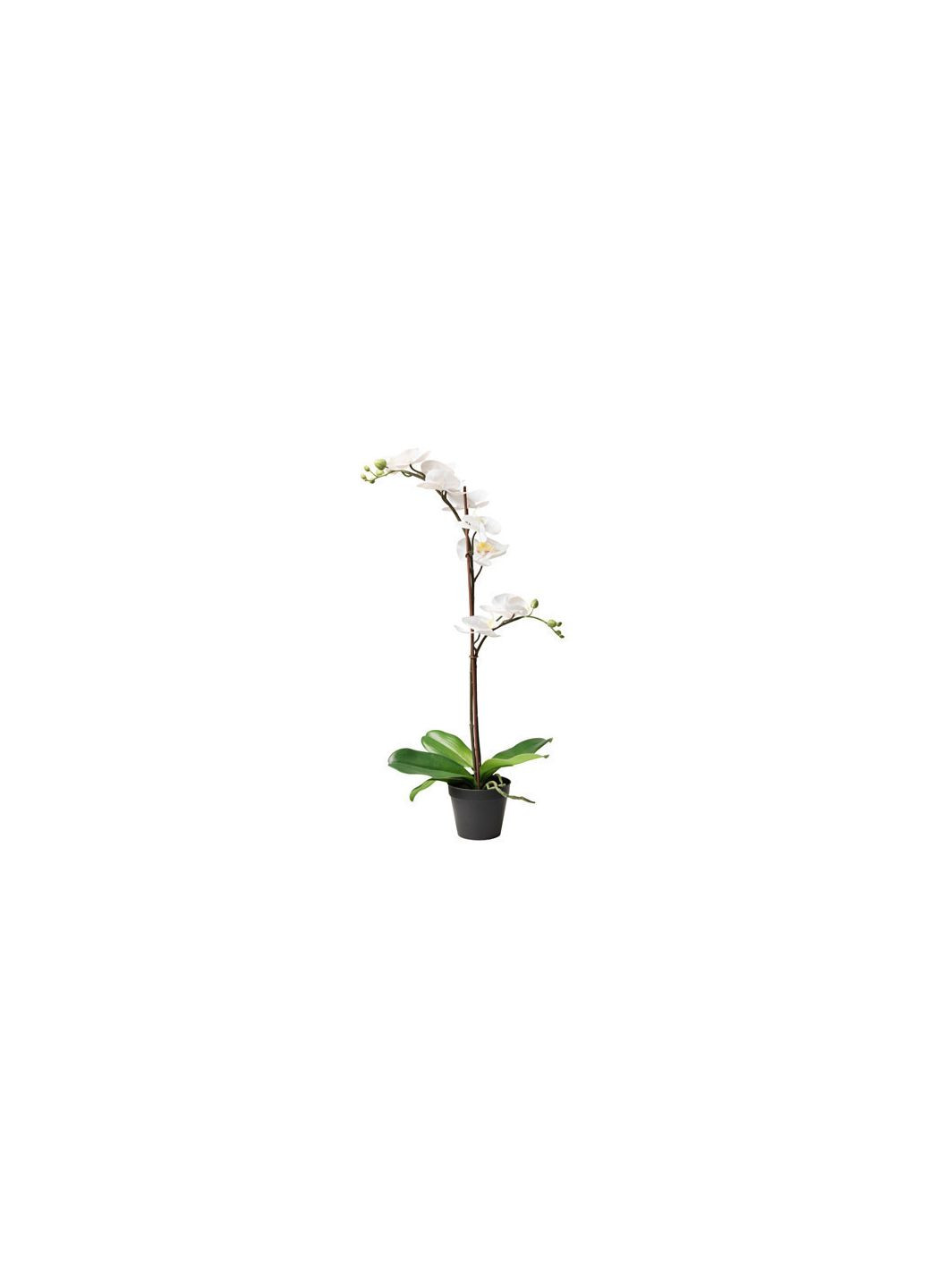 Штучна рослина IKEA (272150572)