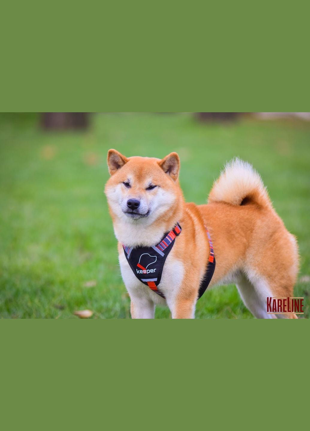 Шлей из нейлона с узором "LINE", логотипом и пластиковой пряжкой 20 мм А:420-520 мм, В:500-630 мм Kareline (339075561)