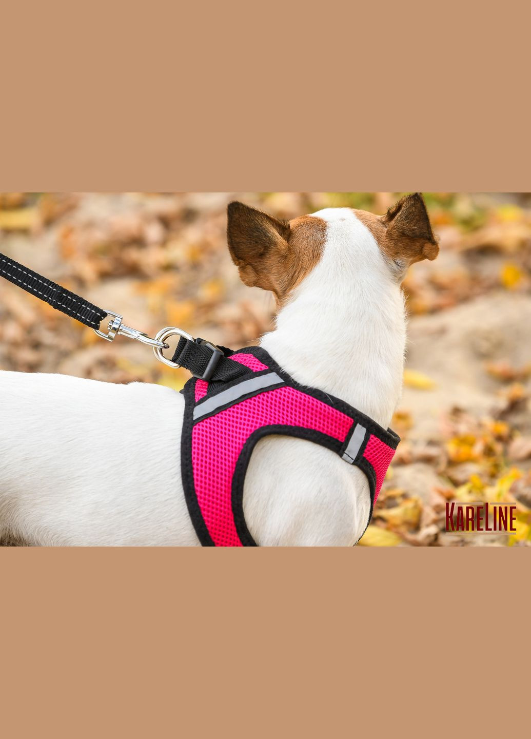 Шлей из сетчатого нейлона, с пластиковой пряжкой и светоотражающими элементами L 430-480 мм. Kareline (339075660)