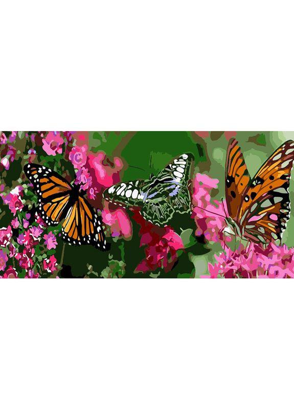 Картина по номерам "Бабочки" см — развивающее творчество для детей и взрослых. Strateg (369759181)