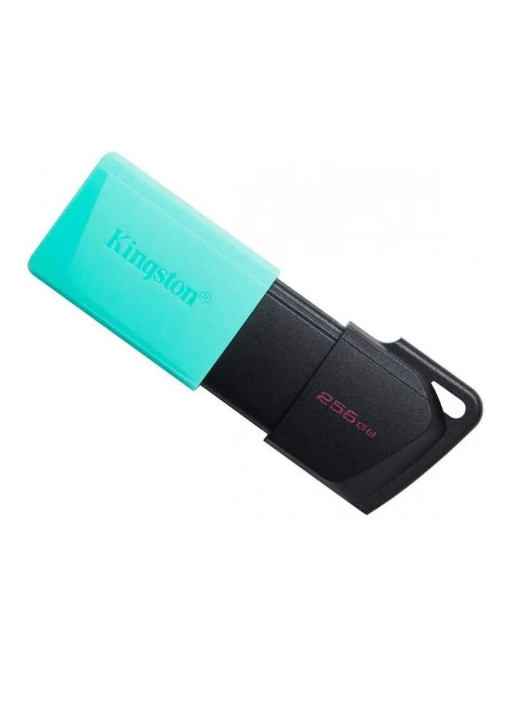 USB накопитель DT Exodia M 256gb Kingston (369653721)