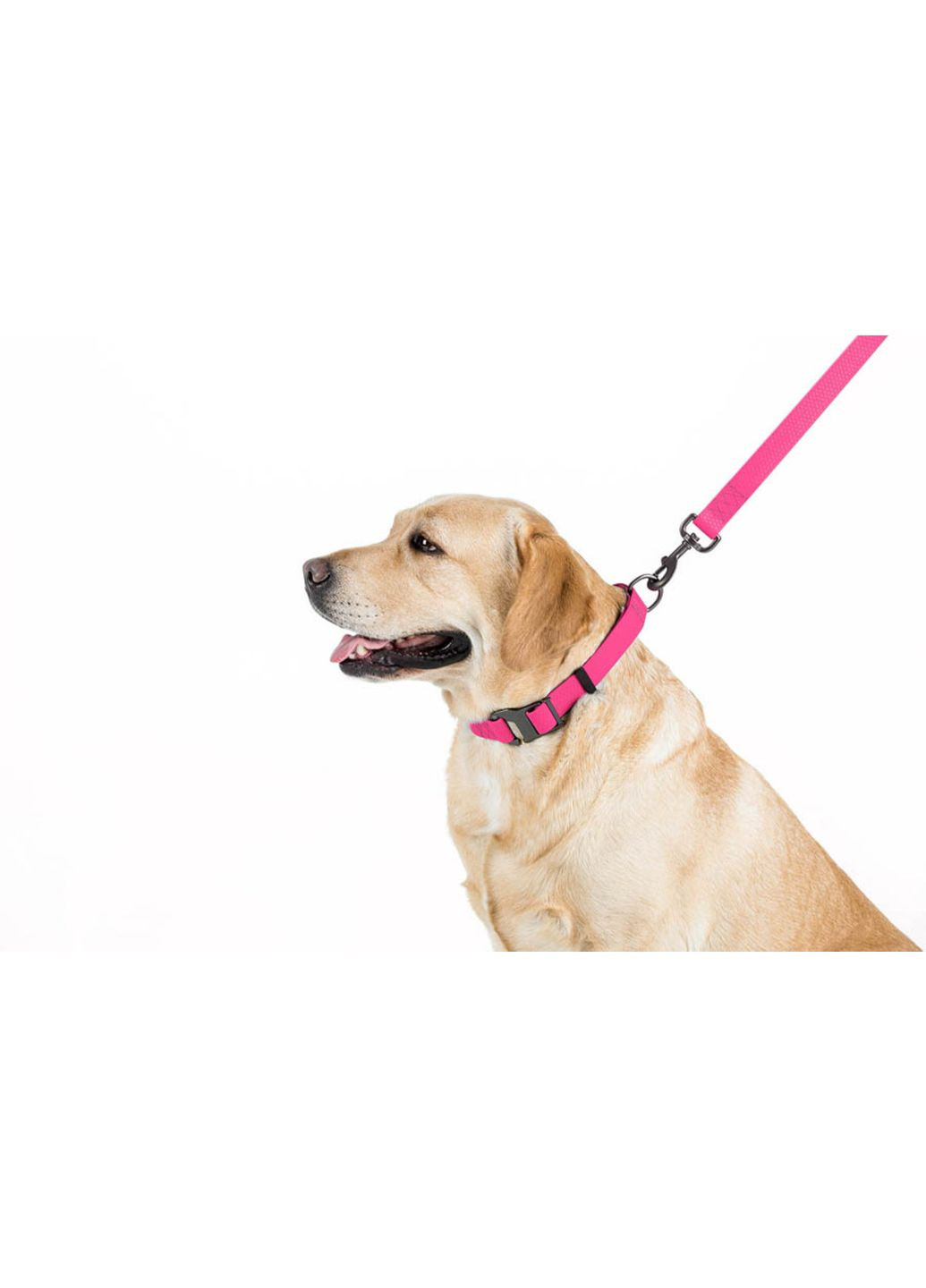 Повідець для собак водостійкий Waterproof Ш 25 мм Д 122 см Рожевий WAUDOG (364751533)