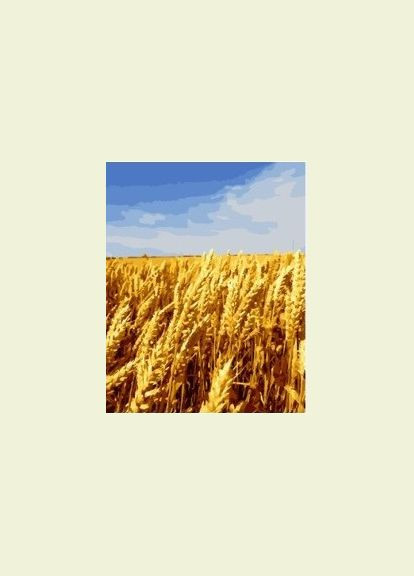 Картина за номерами пейзаж українські поля Запашна пшениця Картини у цифрах Літо Українські мотиви 40х50 Набір GX44804 Rainbow Art (308989212)