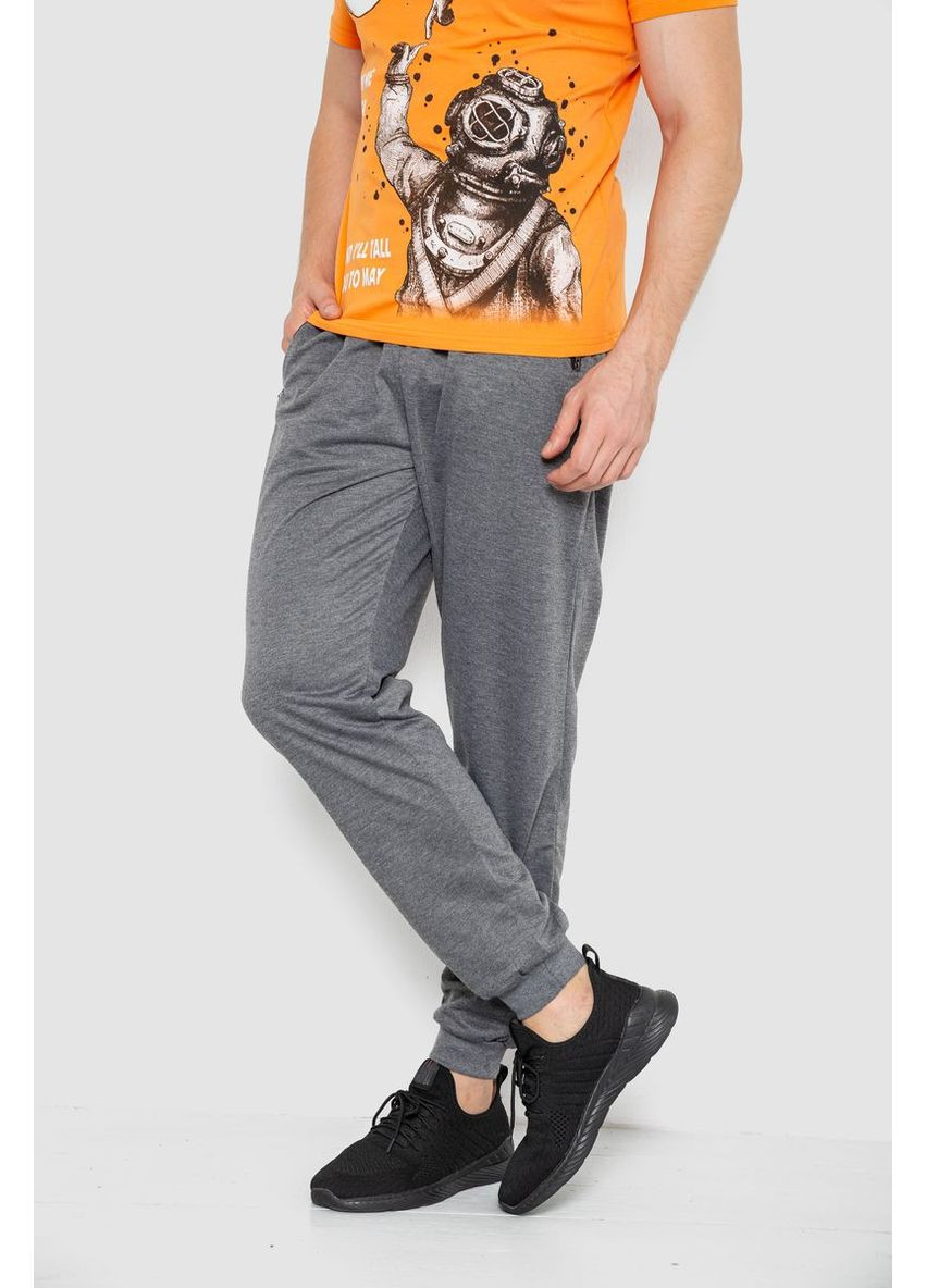 Серые спортивные демисезонные брюки Sport Line