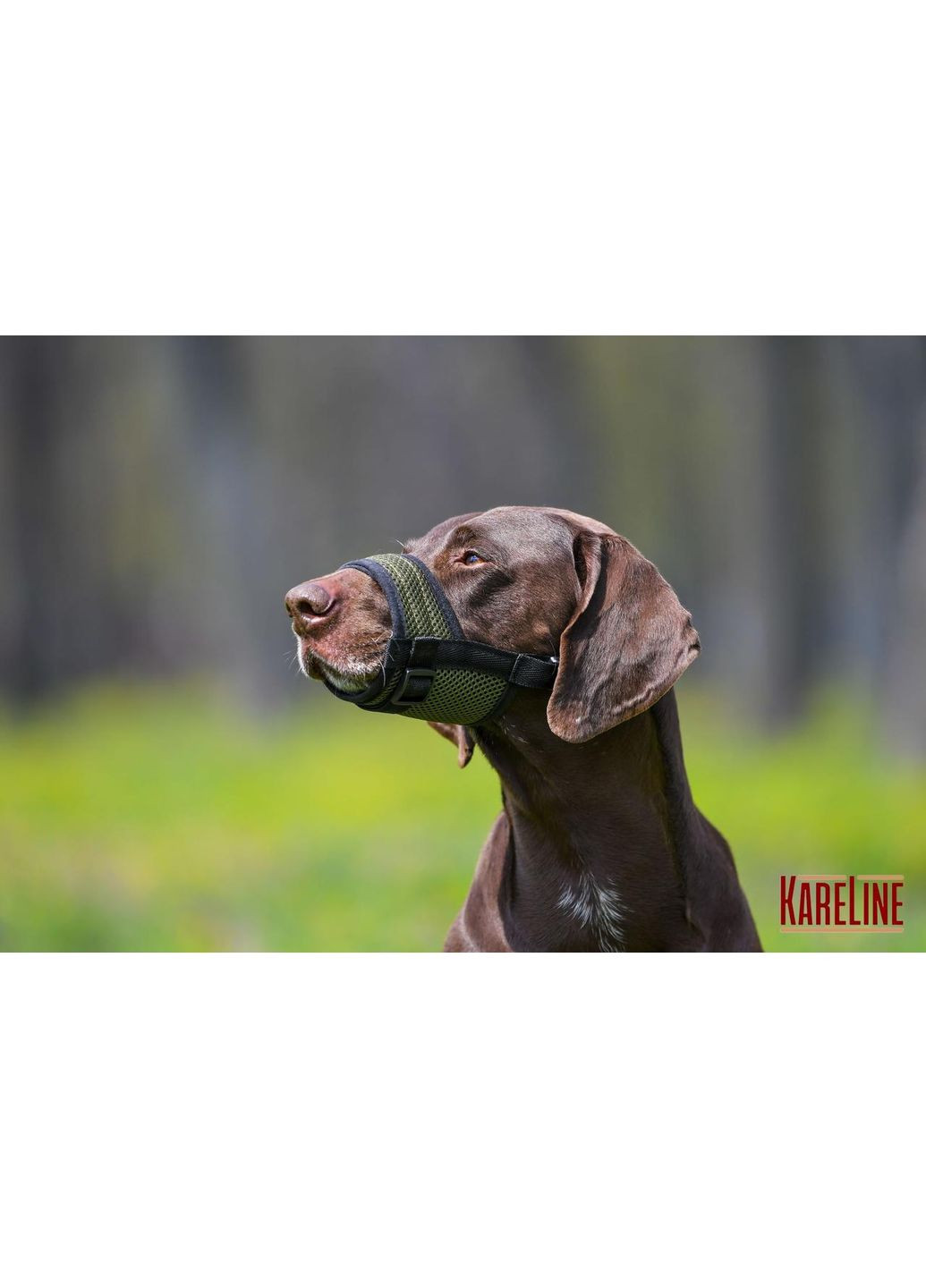 Намордник сетка из нейлона для ротвейлера размер XXL Хаки Kareline (339075592)