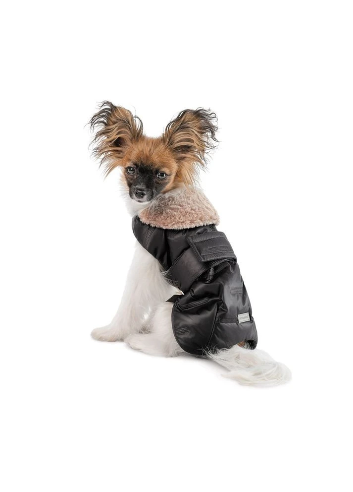 Попона Ted для собак /сірий S Pet Fashion (385167244)