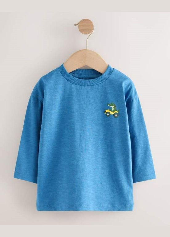 Разноцветный демисезонный лонгслив Next Trend