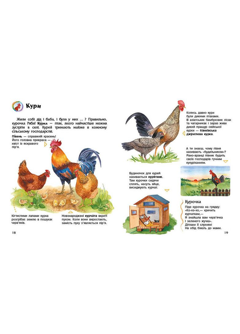 Энциклопедия дошкольника Домашние животные РАНОК (322301985)